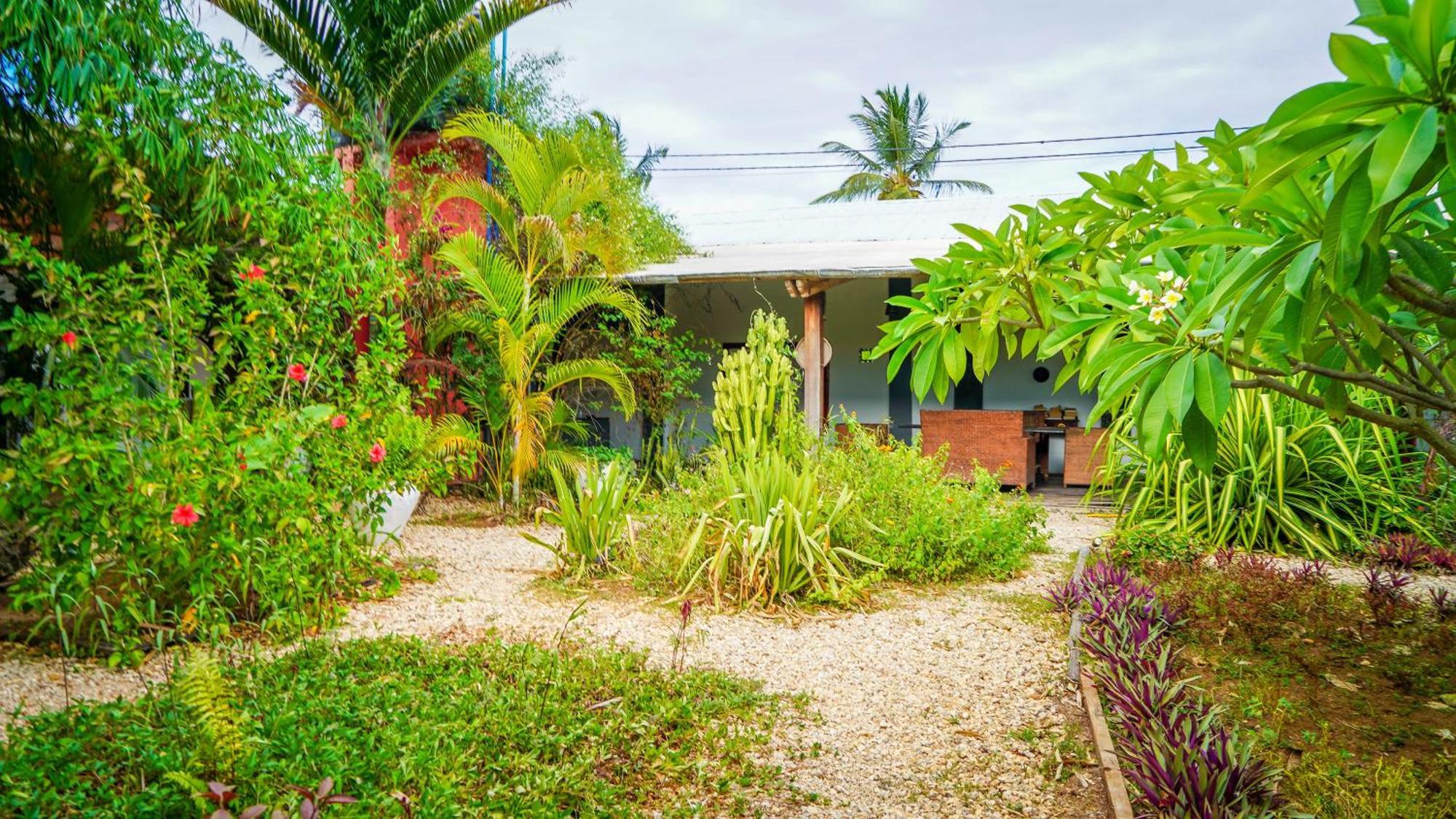 Nungwi House Bed & Breakfast エクステリア 写真