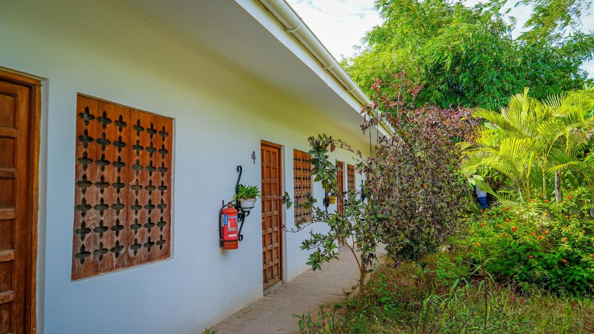 Nungwi House Bed & Breakfast エクステリア 写真