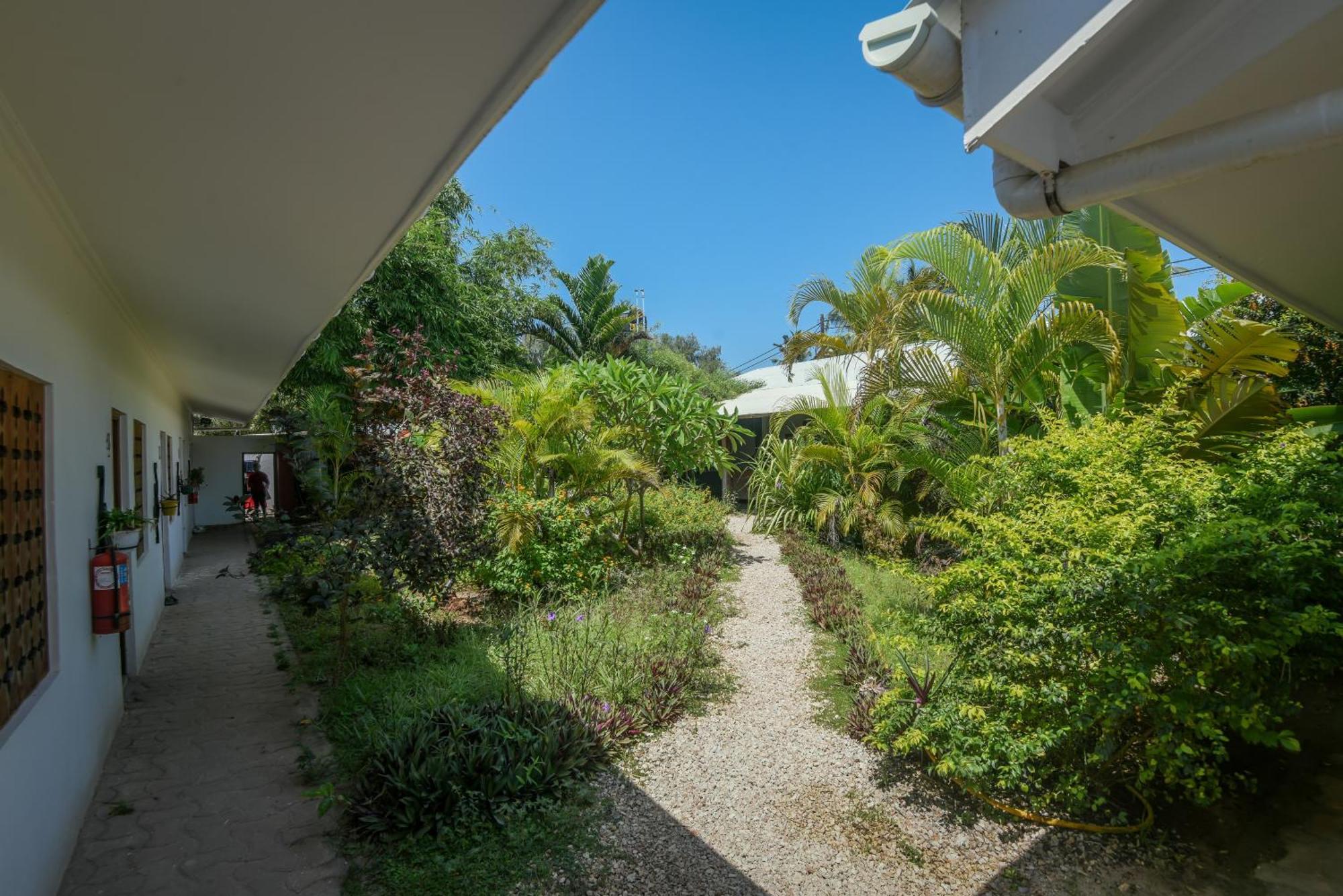 Nungwi House Bed & Breakfast エクステリア 写真