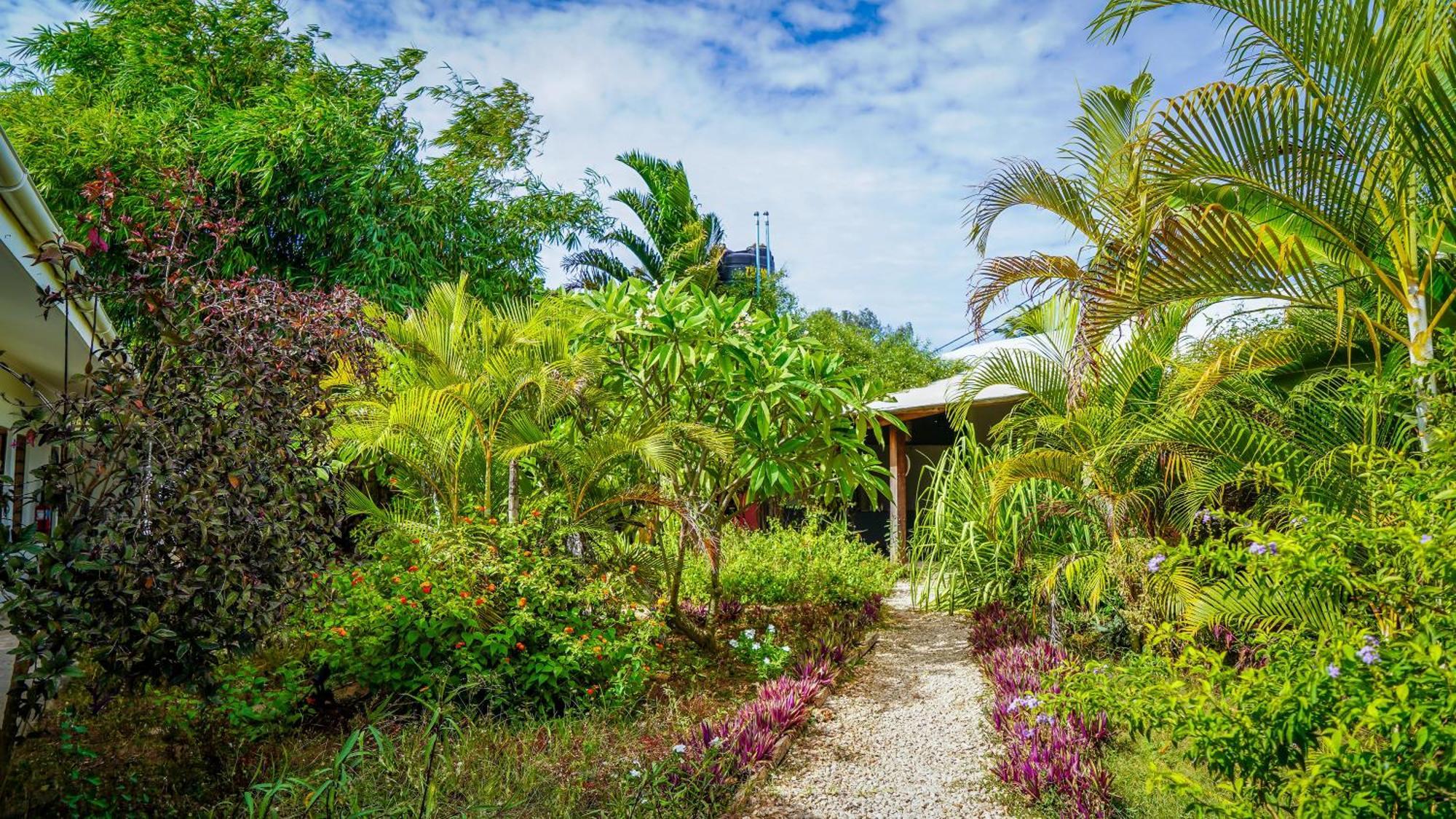 Nungwi House Bed & Breakfast エクステリア 写真